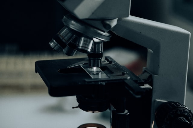 Skaningowy mikroskop elektronowy