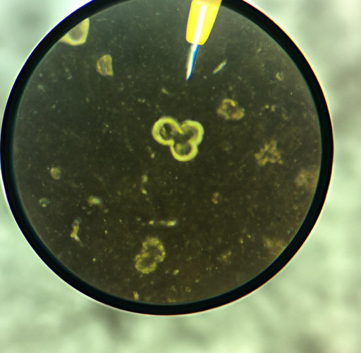 Clostridium wykryte u drobiu: jak zaradzić problemowi?